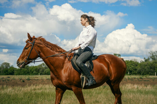 Woman riding a brown horse in a grassy field