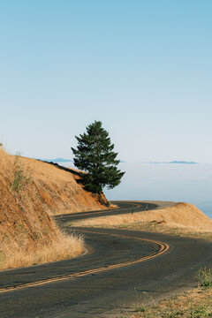 Amazing road in Mount Tamalpais