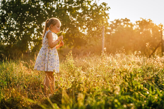 Little girl blowing dandelion seeds in a sunny field