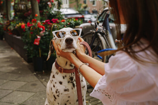fanny dalmatian dog  wearing sub glasses on the street in Amsterdam