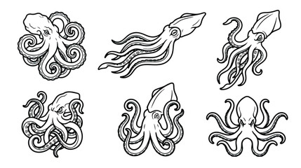 Vintage octopus and squid vector illustrations, set of 6 hand drawn cephalopod icons, black and white nautical marine life line art for seafood branding © Sidra