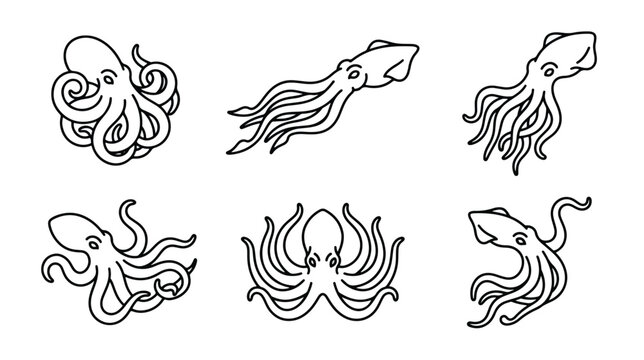 Minimalist octopus and squid line art icons, set of 6 marine cephalopod vector illustrations, black and white sea creature sketches for seafood branding