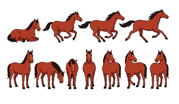 Brown horse vector character illustration set. Running, standing, grazing, lying down, front and side views, brown coats, black manes, equines, stallions and ranch animal design elements.