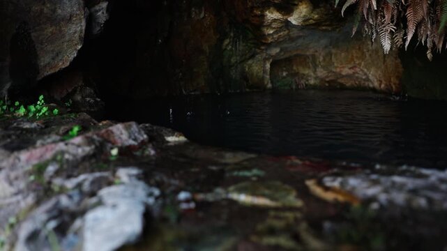 Cave Pond In Cañon de la Garita, Sierra Penjamo, Guanajuato, Mexico