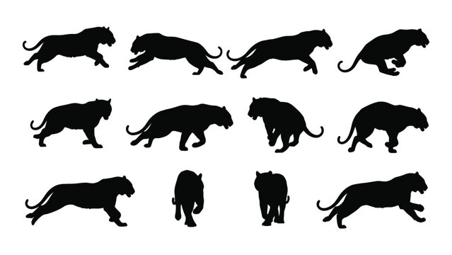 A collection of black tiger silhouettes in various dynamic poses a striking graphic silhouette tigers feline felines big cat cats