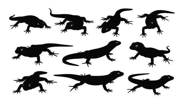 Collection of lizard silhouettes in various poses against a white background silhouette lizards reptiles herpetology scaled animals animal shapes black and white monochrome vector image
