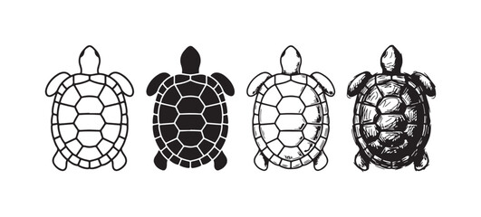 Four sea turtle stylization variations, viewed from above, showcasing clean line art, a detailed solid silhouette, light etching, and an expressive sketch style. © Ірина Гринюк