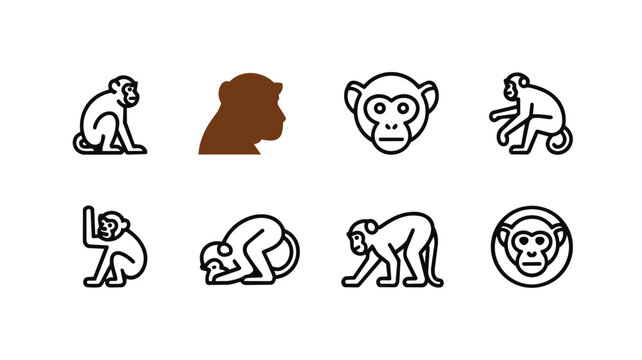 Set of monkey icons, vector illustration of primates in different poses vector
