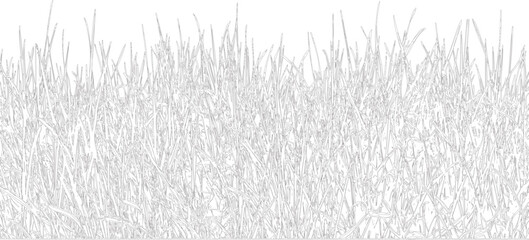 A detailed view of tall grass with transparent background for overlay © Lokman
