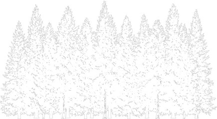 Obraz premium A serene forest landscape with tall trees and foliage natural scenery