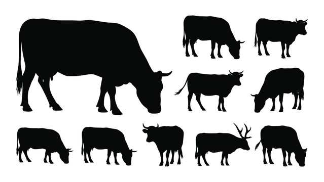 Collection Of Cattle And Elk Silhouettes In Black And White A Graphic Representation Silhouette cow bull heifer calf stag deer