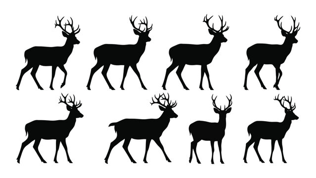 Collection Of Stag Silhouettes In Various Poses Against A White Background A Graphic Silhouette deer buck male red elk cervidae