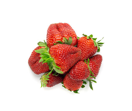 Fresh strawberry isolated, whole ripe straw berry, red juicy imperfect strawberri with green leaves
