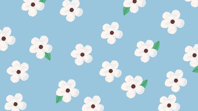 Hand Drawn White Flower Playful Motion Botanical Floral Childlike Animation