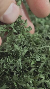 Hand shifts dried parsley pieces like roof tiles prepared for placement. Each movement represents strength and protection during structural renewal