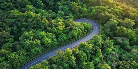 Fototapeta premium Aerial Green View of Curved Road in Lush Jungle Woodland at Twilight During Sunrise Hours