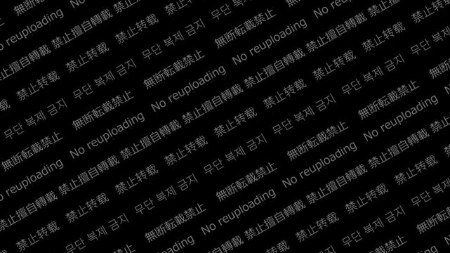 「無断転載」を日本語、英語、繁体字、簡体字、韓国語で表示しているウォーターマーク