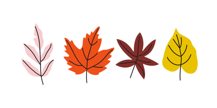 Bright vector leaves of various shapes and warm fall colors. Autumn season doodle elements collection. Botanic fall season hand drawn tree leaves set for seasonal design and holidays