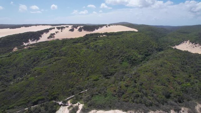 Aerial view of Eli Creek flowing through sand dunes and lush vegetation towards the beach with parked cars in K'gari, Queensland, Australia.