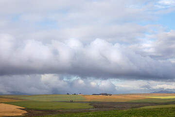 Fototapeta premium storm clouds over the field