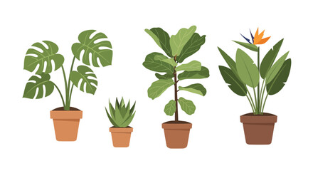 Obraz premium Collection of potted house plants variety.