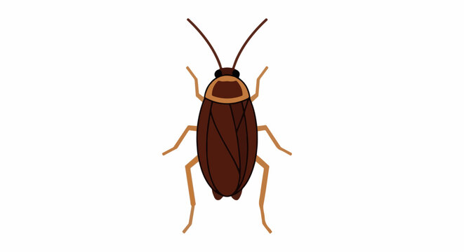 Stylized brown insect with antennae, six legs, and oval body