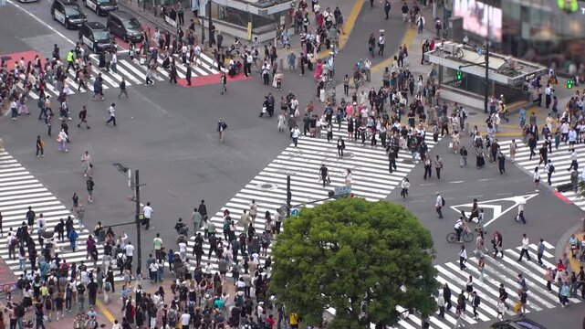 TOKYO, JAPAN - MAY 2026 : Aerial view of Shibuya crossing in daytime. View of crowd of people at the street. Japanese urban city and travel concept video. Slow motion shot.