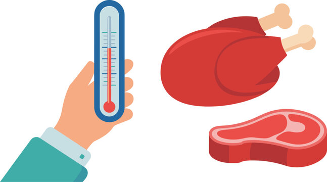 Hand holding thermometer measuring food temperature for meat and raw chicken safety flat vector illustration