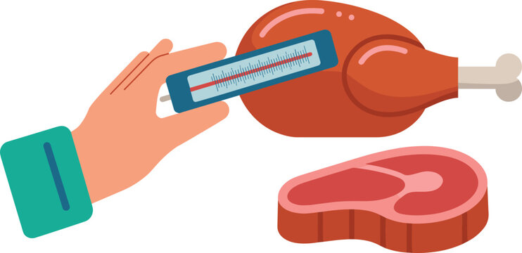 Hand holding thermometer measuring food temperature for meat and raw chicken safety flat vector illustration