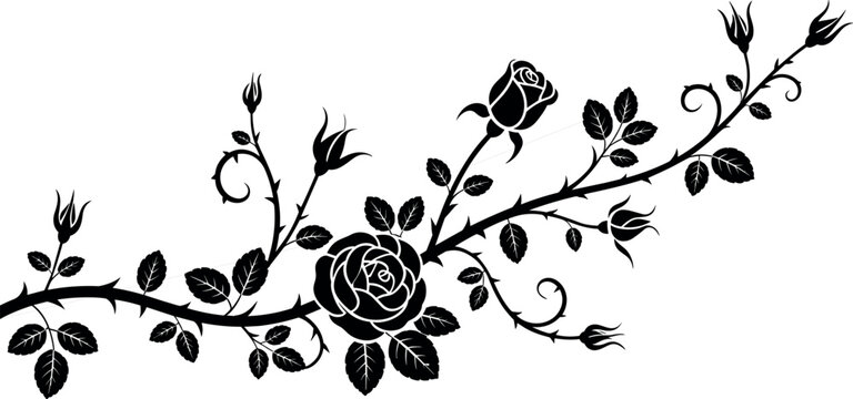 Black rose branch silhouette with thorns leaves and buds decorative floral vector illustration isolated on white background