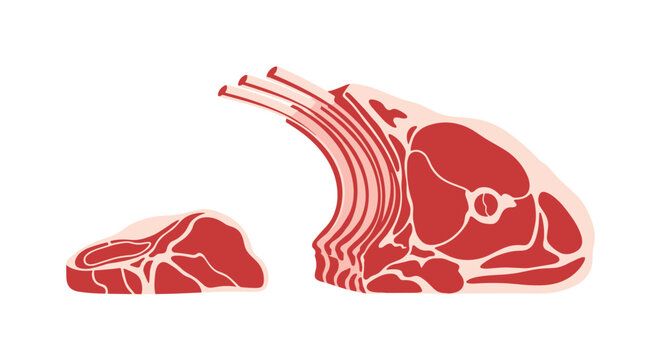 Realistic vector illustration of raw lamb chops and a piece of meat showing marbling and bone structure for butcher shop or culinary concepts.