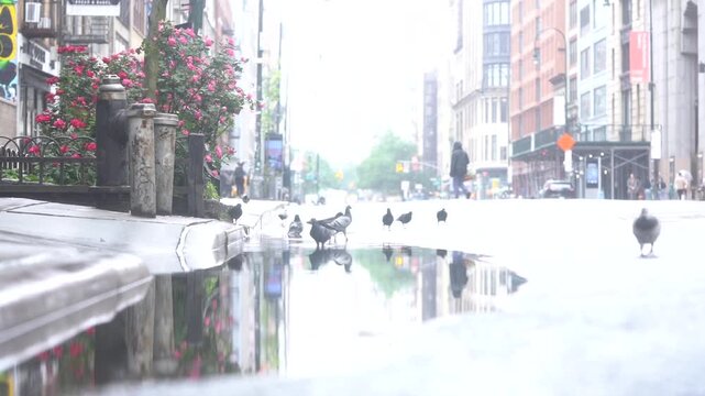 Blurry video clip of people walking across a busy city street intersection with cars and traffic lights.

