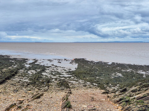 Rugged Coastline of Clevedon Bay at Low Tide in Clevedon, Somerset, UK