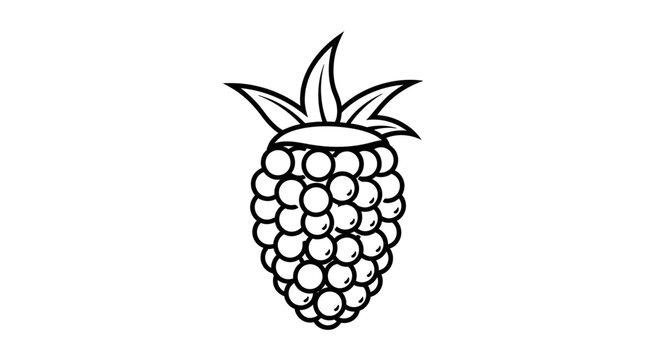Minimalist raspberry line art vector, hand drawn blackberry berry outline, simple fruit coloring page illustration on white background