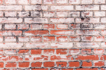 Naklejka premium Weathered red brick wall texture with white paint and grunge mortar, rustic urban background.