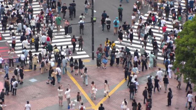 TOKYO, JAPAN - MAY 2026 : Aerial view of Shibuya crossing in daytime. View of crowd of people at the street. Japanese urban city and travel concept video. Slow motion shot.