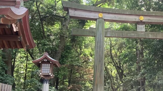 Traditional wooden Torii gate with golden imperial crest at Meiji Jingu Shrine in Tokyo silent