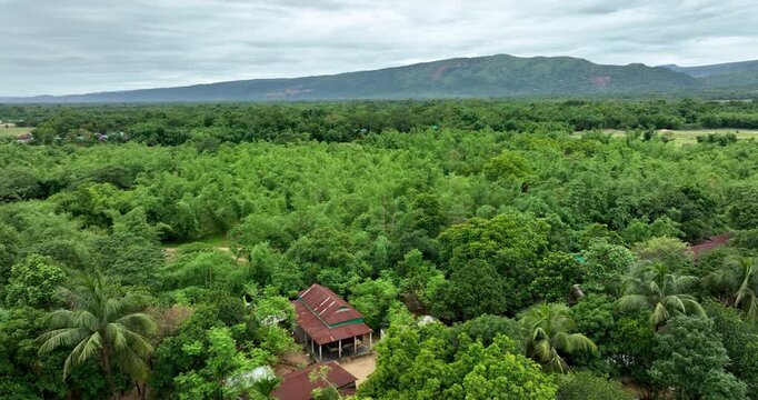 Aerial view of Tanguar Haor featuring a lush green forest canopy, a small house, and distant mountains under a cloudy sky in Sunamganj District, Sylhet Division, Bangladesh.