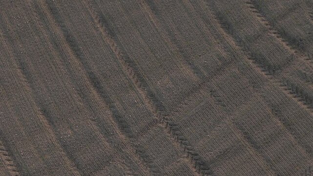 Cultivated farmland in the Po Valley, Italy, revealing mechanized tillage textures, tractor cultivation marks, and dry alluvial soil patterns, ascending drone shot.