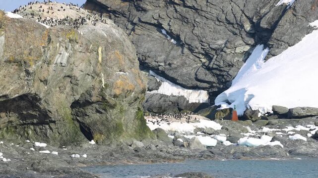 Point Wild on Elephant Island, South Shetland Islands, Antarctica, revealing rocky coastline, glacier snowfields, and penguin colony habitat, slow panning telephoto shot.