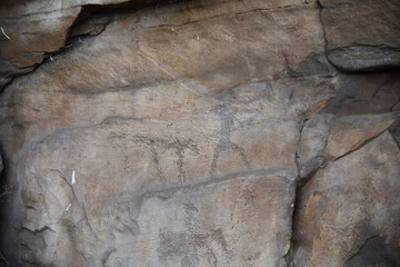 Fototapeta premium Rock art of Khakassia. Petroglyphs on Mount Chetverty Sunduk. Russia