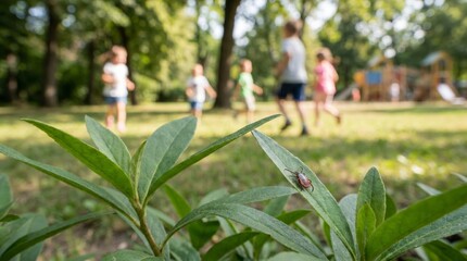 Obraz premium Tick crawling on green leaf in park near playing children. Parasite danger and risk of infection during summer activity. Warning about insect bite and health protection in nature.