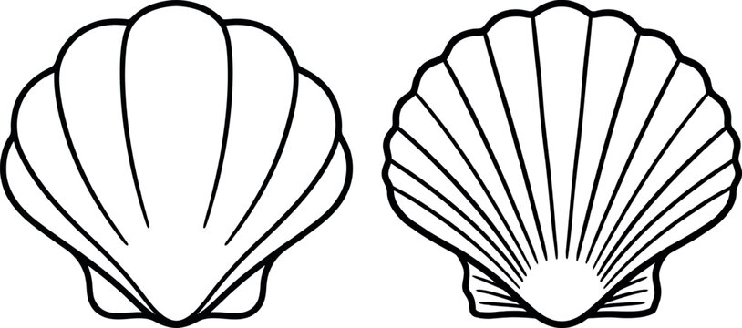 Sea shell nautical decorative element vector set with seashell nautical illustration underwater