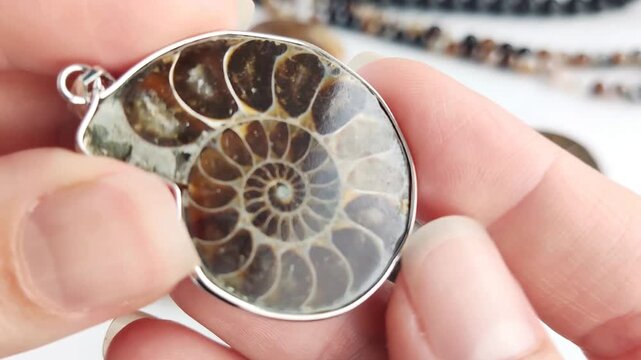 These sophisticated fossil pendants feature natural ammonite spirals set in polished metal for elegant and distinct jewelry crafting projects with a timeless aesthetic