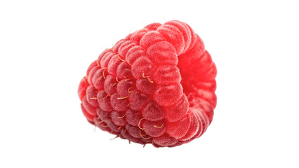 Single fresh ripe juicy red raspberry berry macro close up isolated on transparent background © Pavel