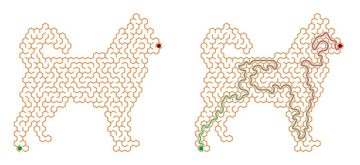 Maze puzzle in the shape of a Husky with solution path and answer key   © Aira
