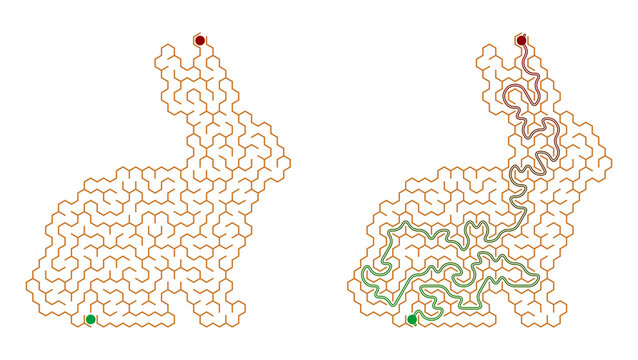 Maze puzzle in the shape of a Rabbit with solution path illustration  
