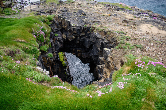 Scenic high angle view of a natural coastal blowhole and collapsed sea cave on a rugged ocean cliff with green grass and pink wildflowers