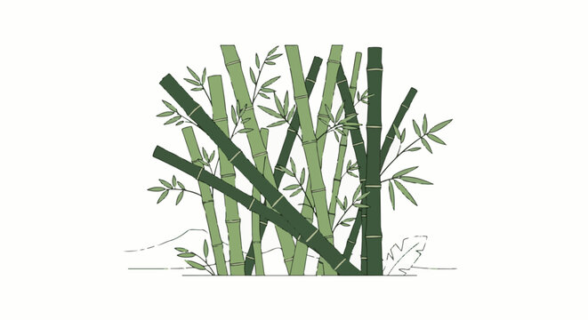 Verdant bamboo stalks with delicate leaves in a cluster