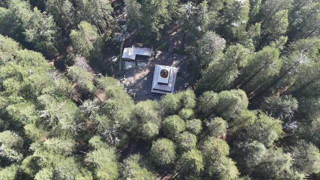 Bird's eye view drone shot of the historic wooden Hadimba Devi Temple surrounded by dense deodar forest in Manali.